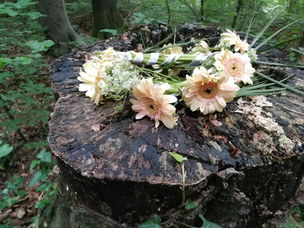Condolence image of Linda