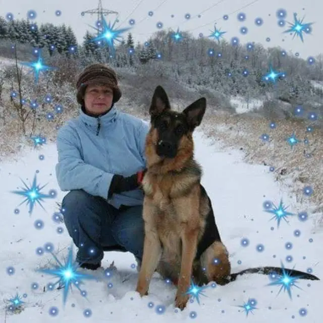 Image from Ayko