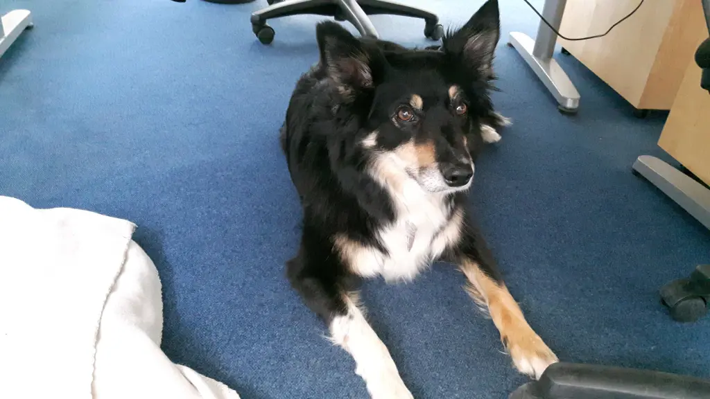 Condolence image of Jenny