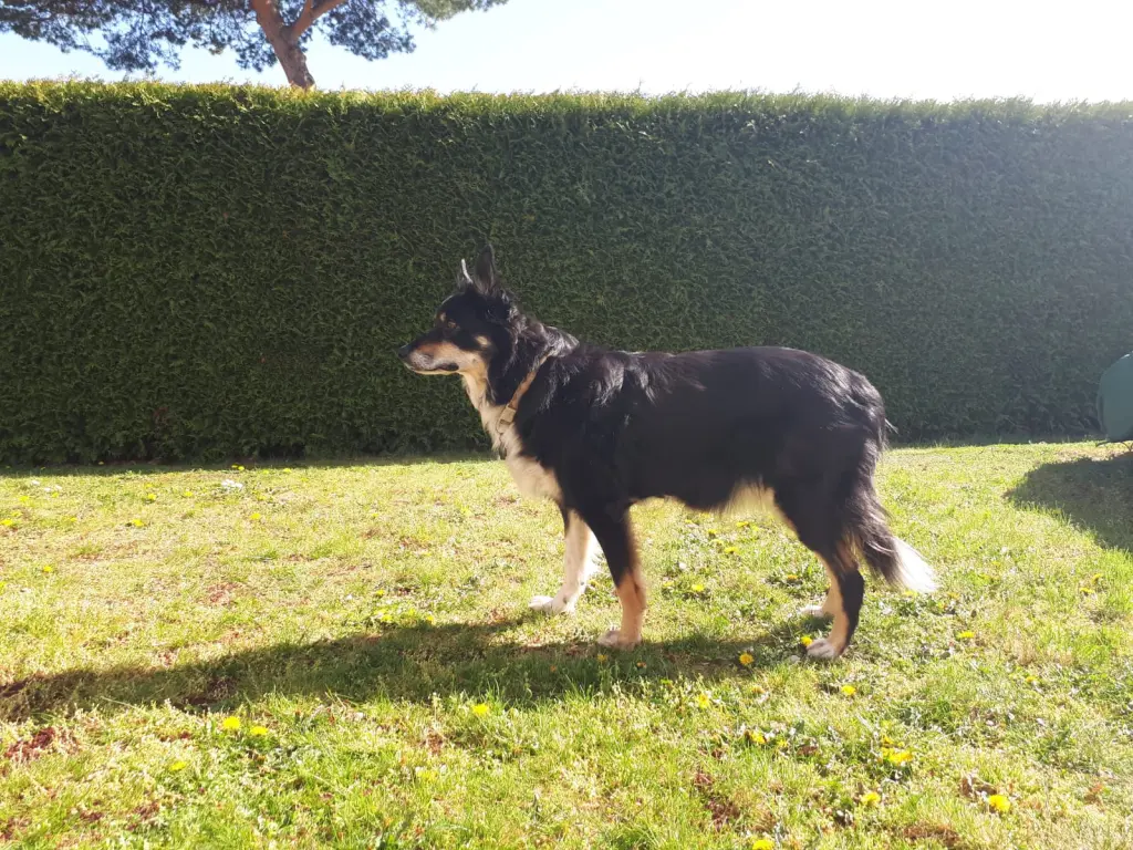 Condolence image of Jenny