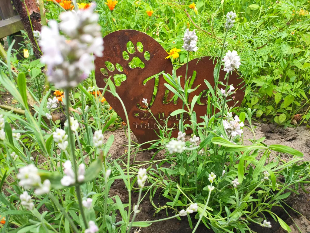 Condolence image of Jenny
