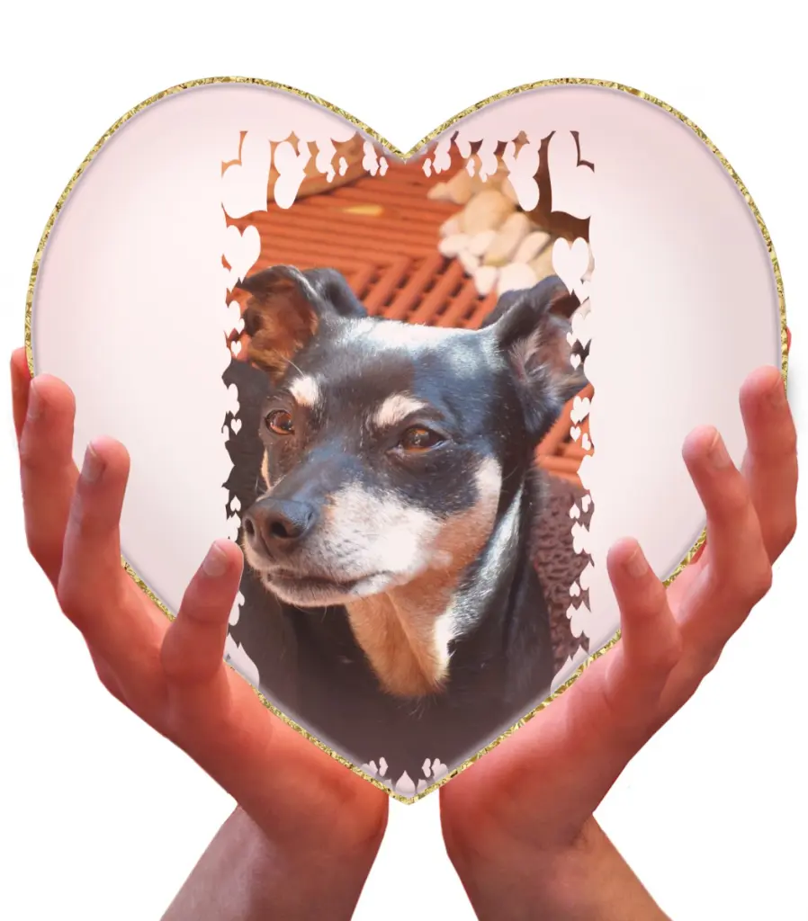 Image from Baffy