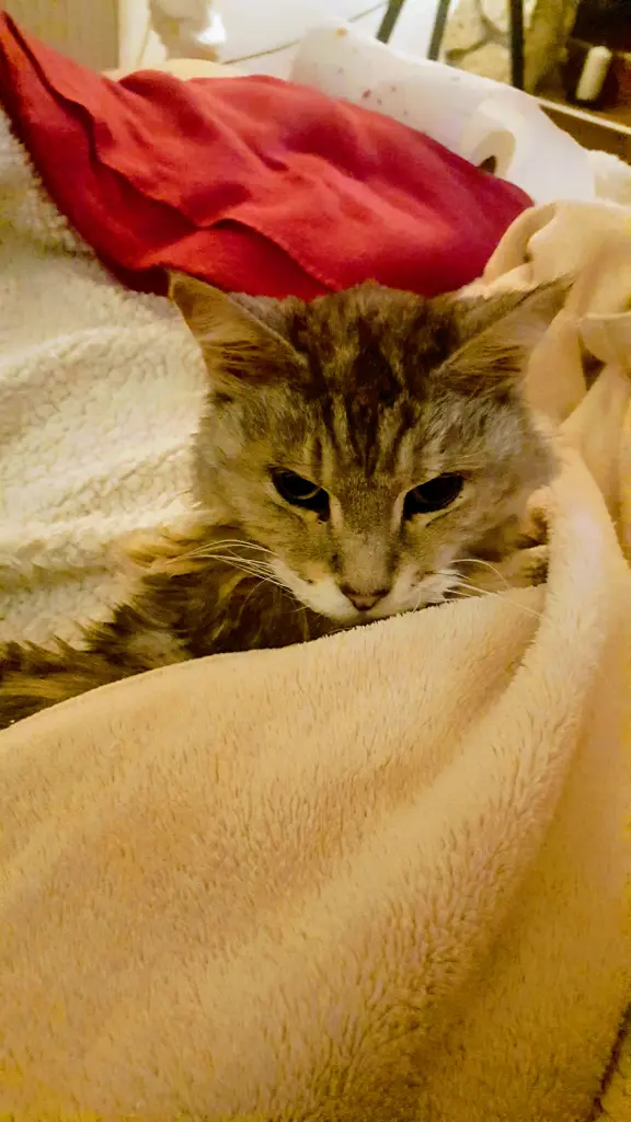 Condolence image of Barbara