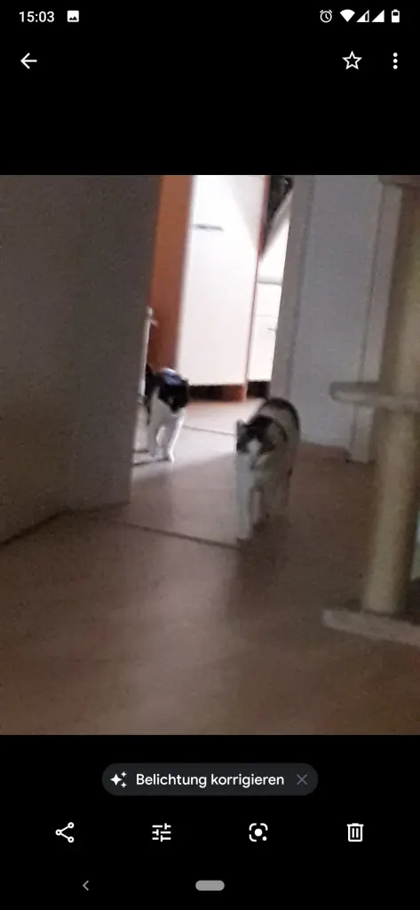 Image from Dicker