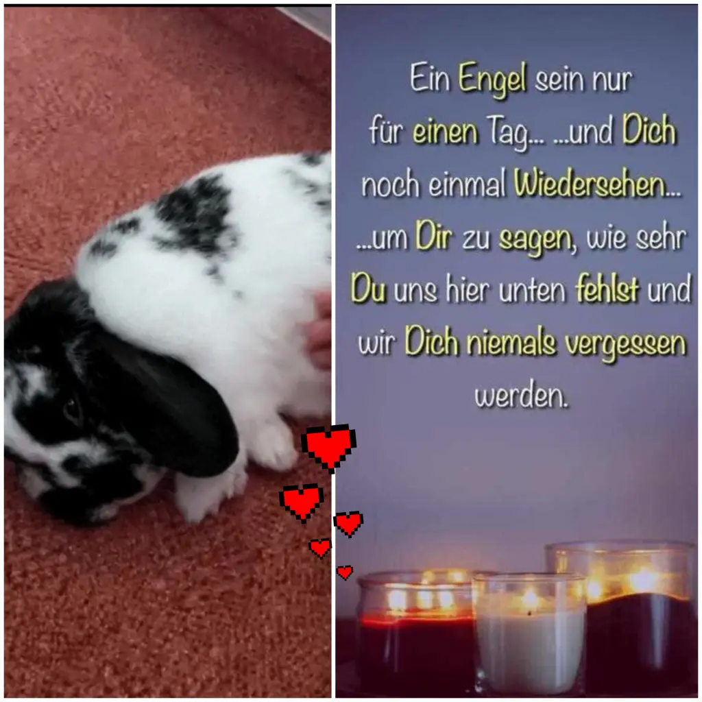 Condolence image of Andreas +Sandra 