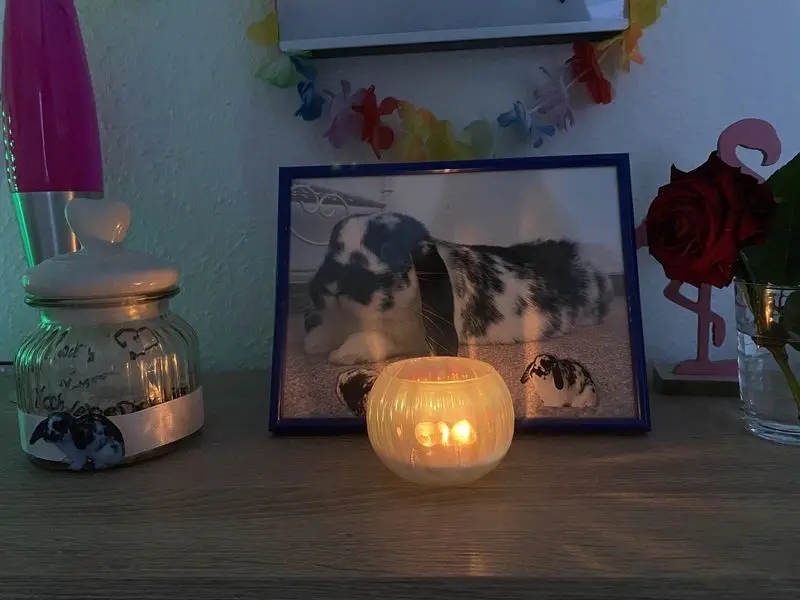 Condolence image of Carina  Holländer