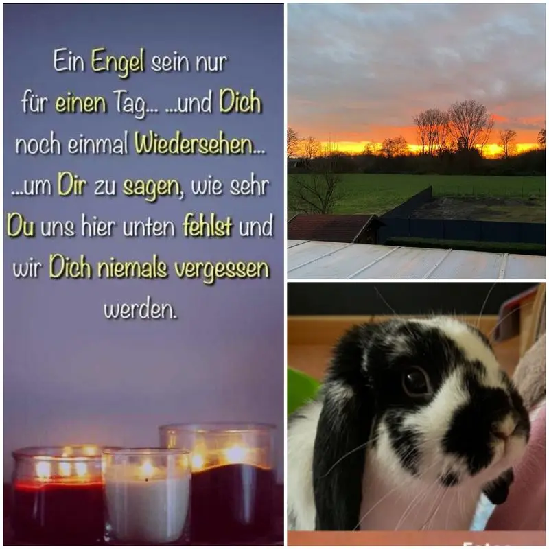 Condolence image of Andreas und Sandra 