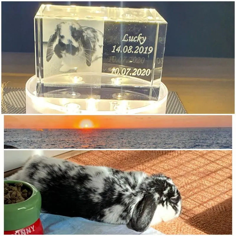 Condolence image of Andreas und Sandra