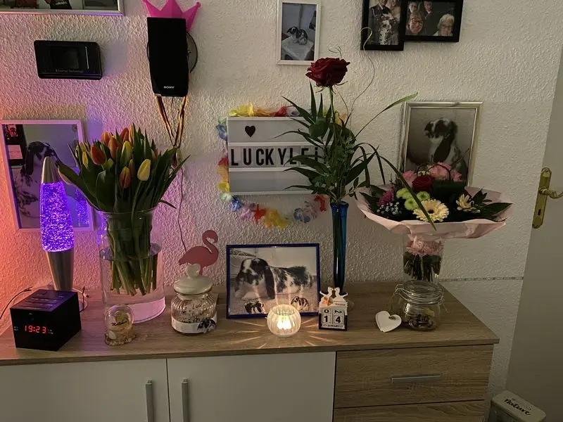 Condolence image of Carina Holländer