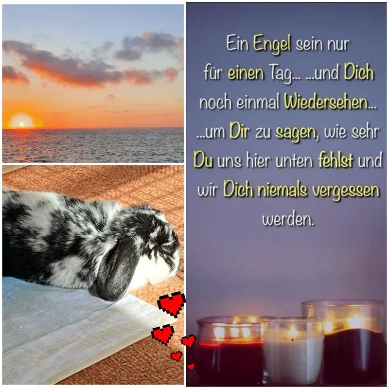 Condolence image of Andreas und Sandra
