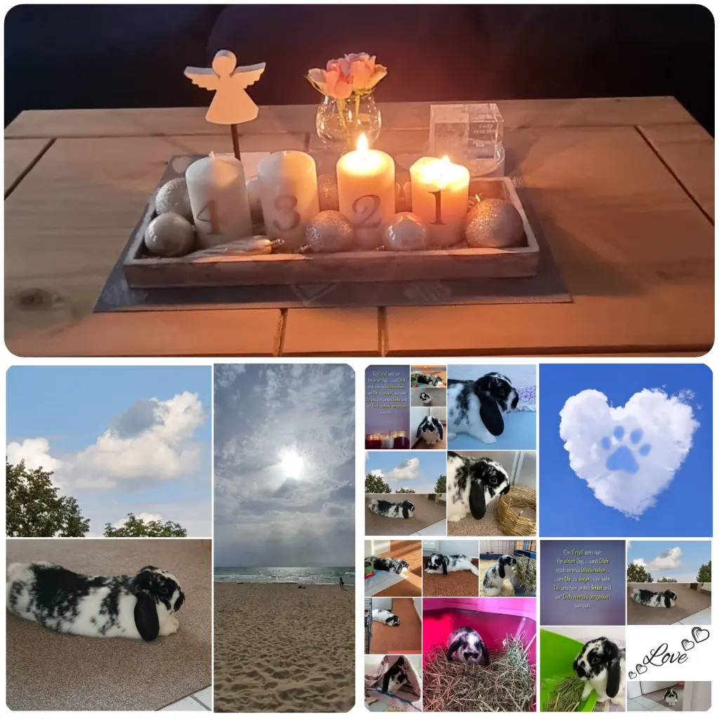 Condolence image of Andreas und Sandra