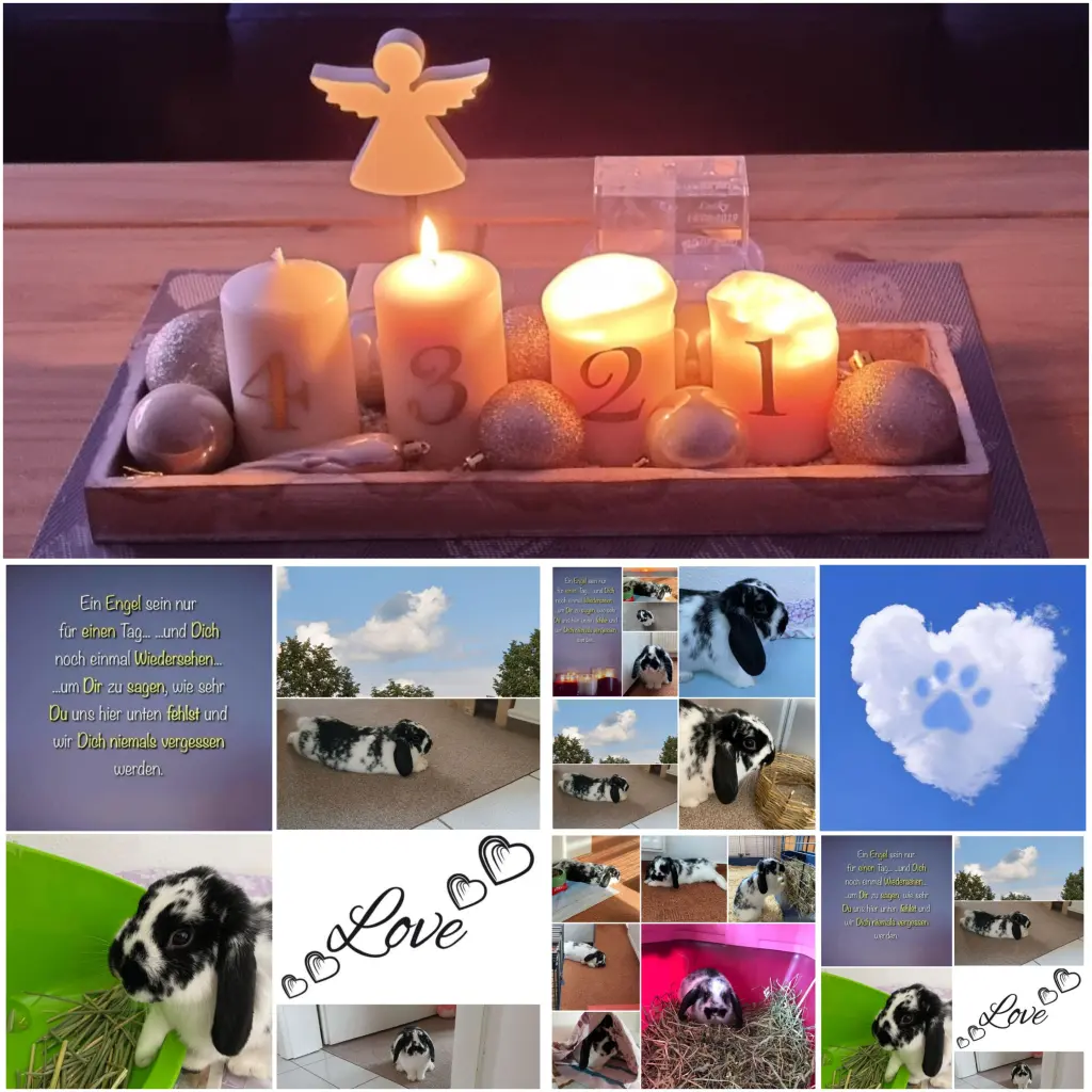 Condolence image of Andreas und Sandra