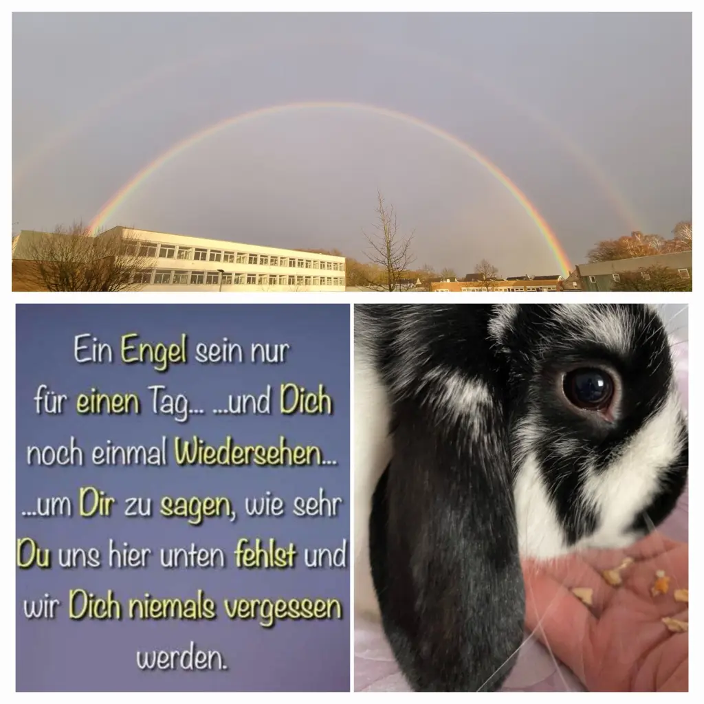 Condolence image of Andreas und Sandra
