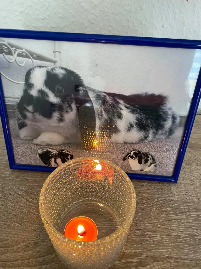 Condolence image of Carina Santos Brito