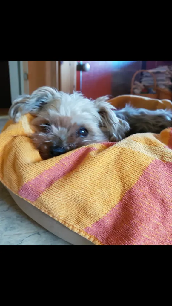 Condolence image of Sabine