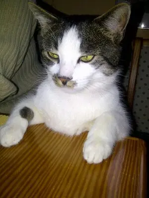 Image from Flecki