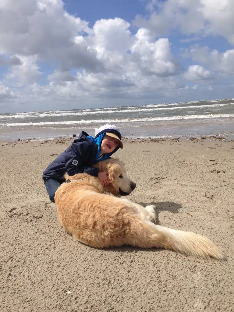 Image from Linus