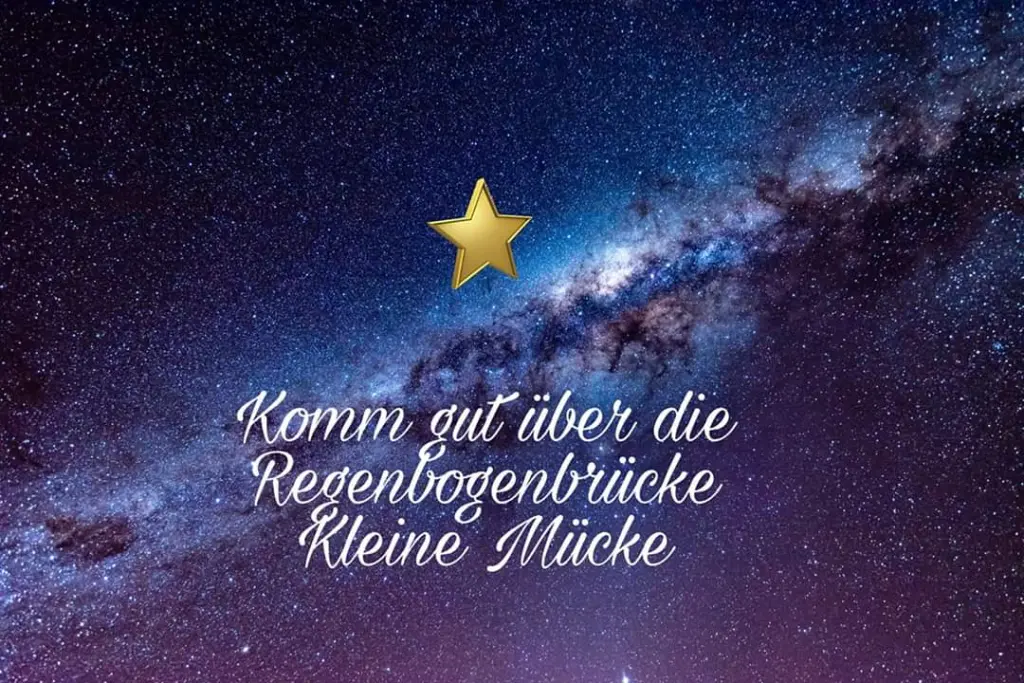 Image from Mücke 