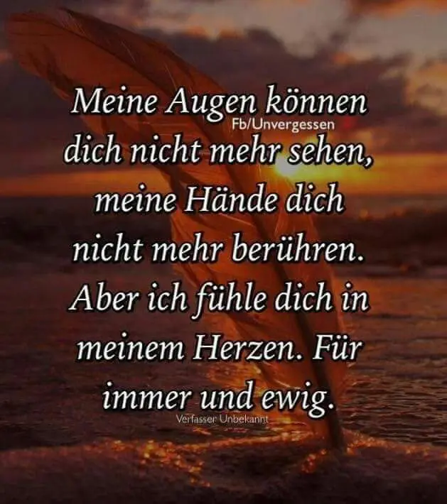 Image from Mücke 