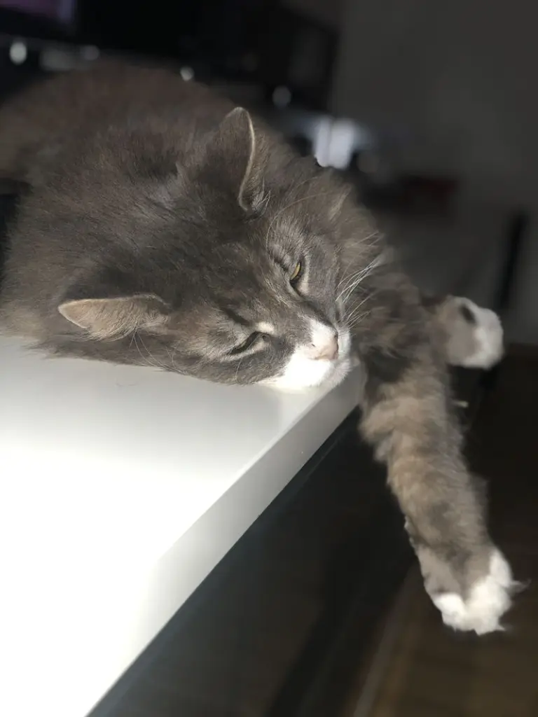 Condolence image of Sabine