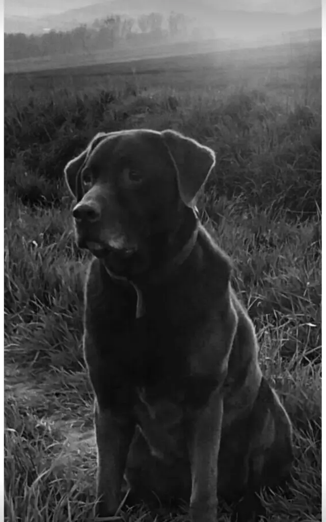 Condolence image of Tanja