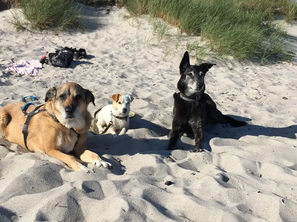 Condolence image of Sally und Lilly