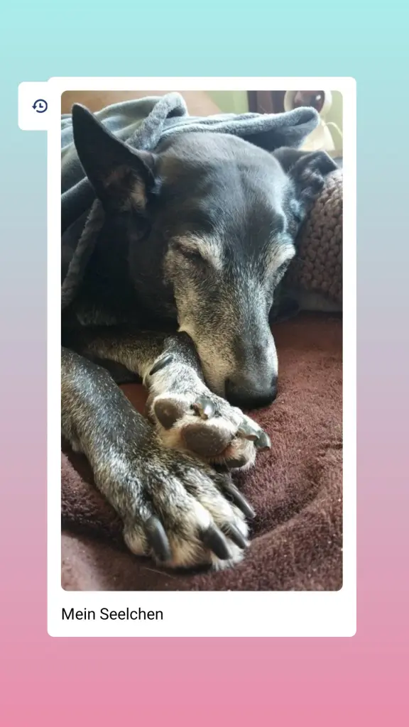Condolence image of Melanie
