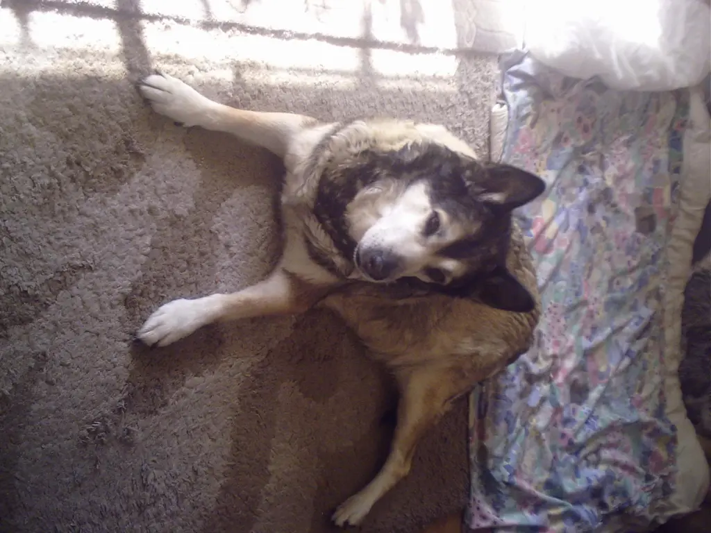 Image from Yaiza