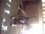 Image from Yaiza