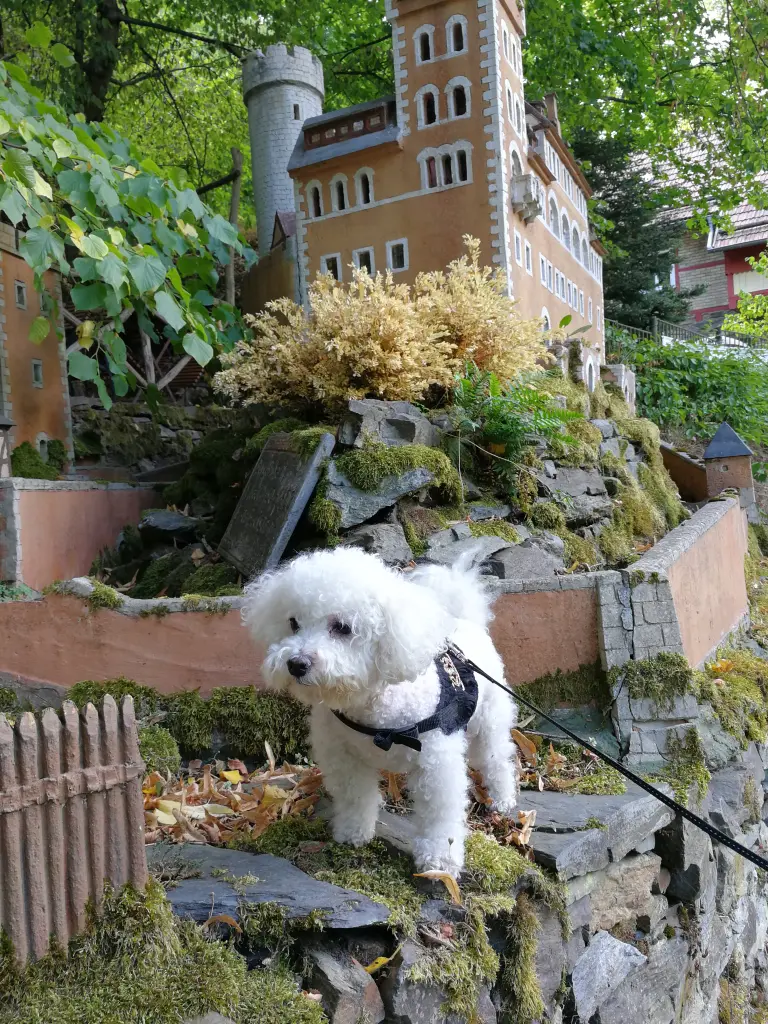 Bild von Ronny