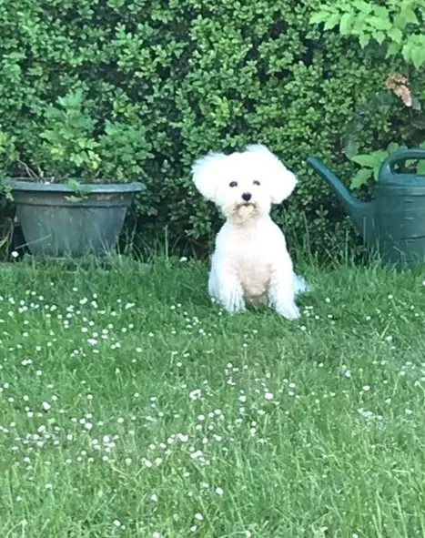 Bild von Ronny