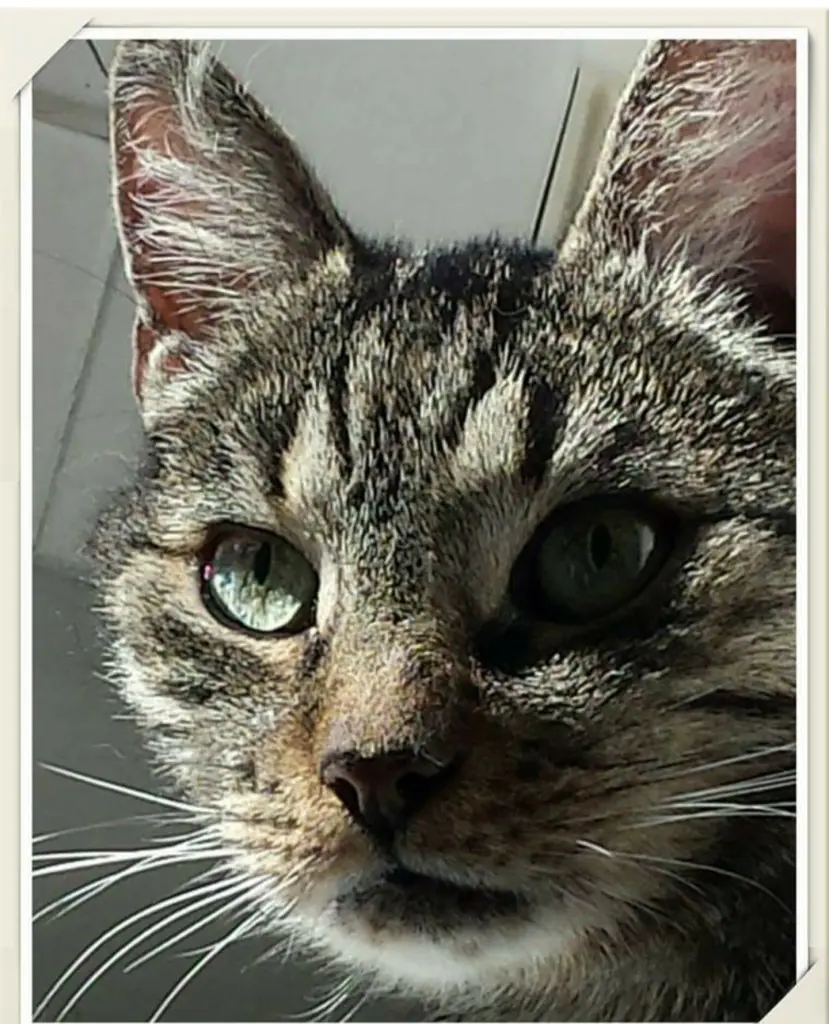 Condolence image of Sylvie