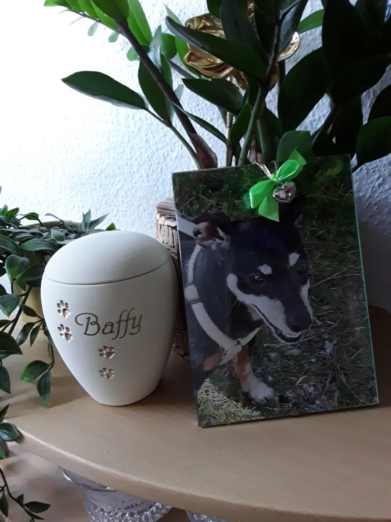 Condolence image of Cerstin
