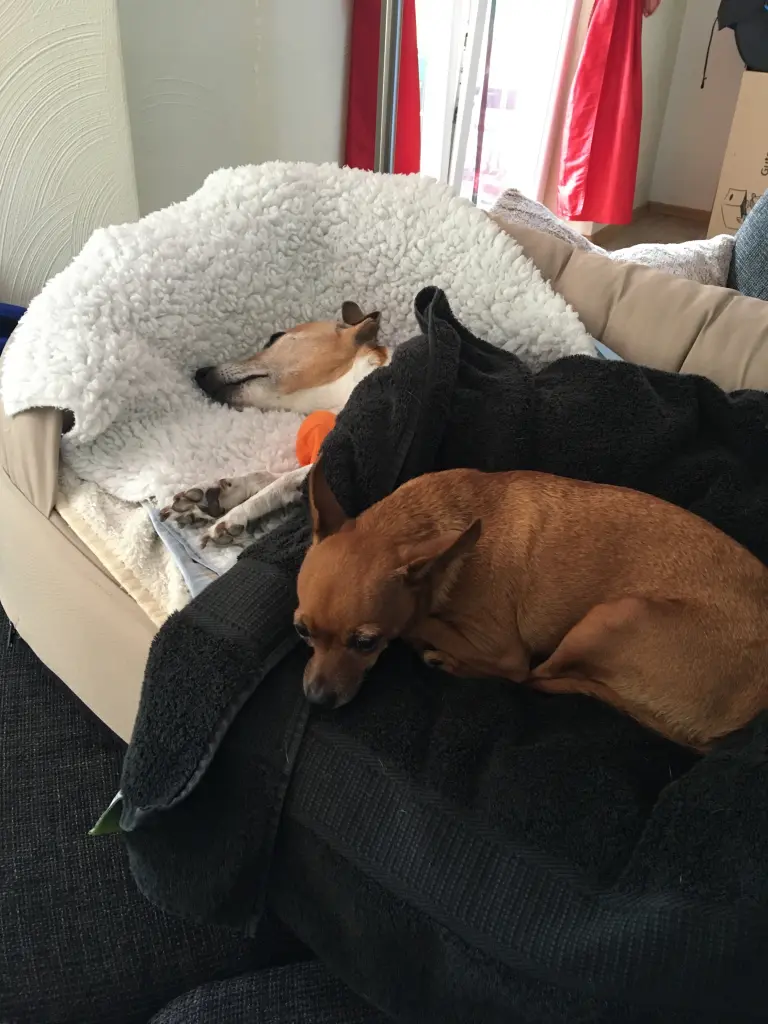 Image from Paul