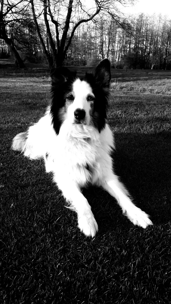Condolence image of Katja
