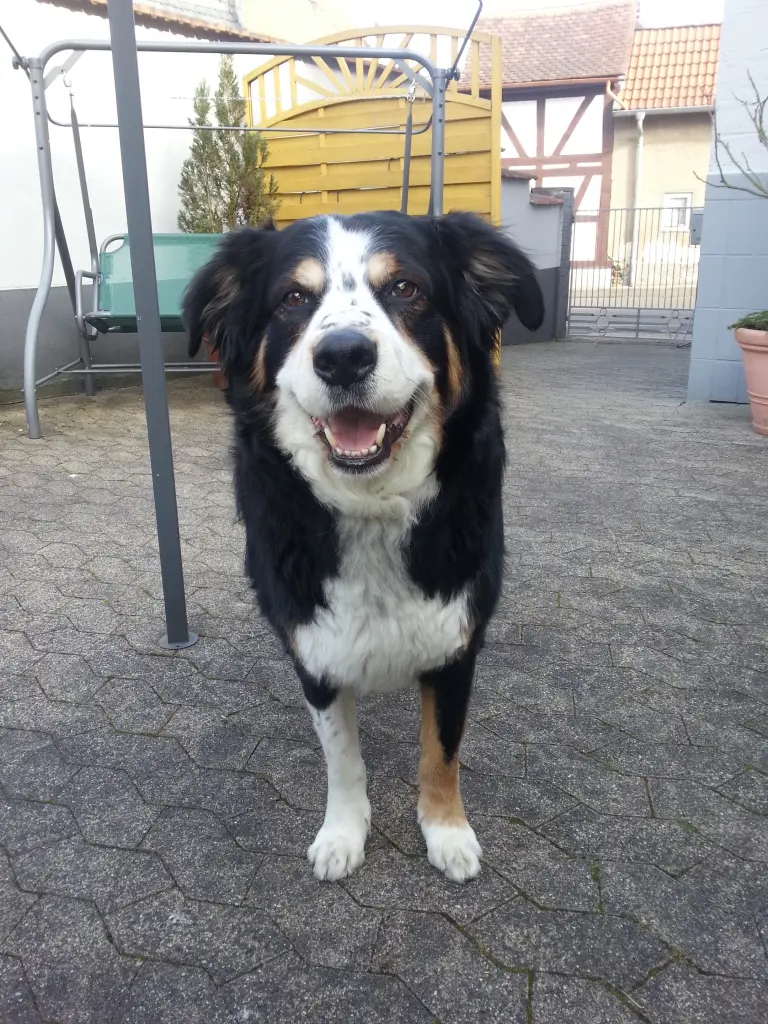 Image from Emil