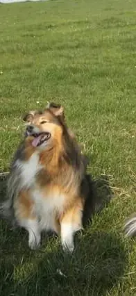 Image from Balou