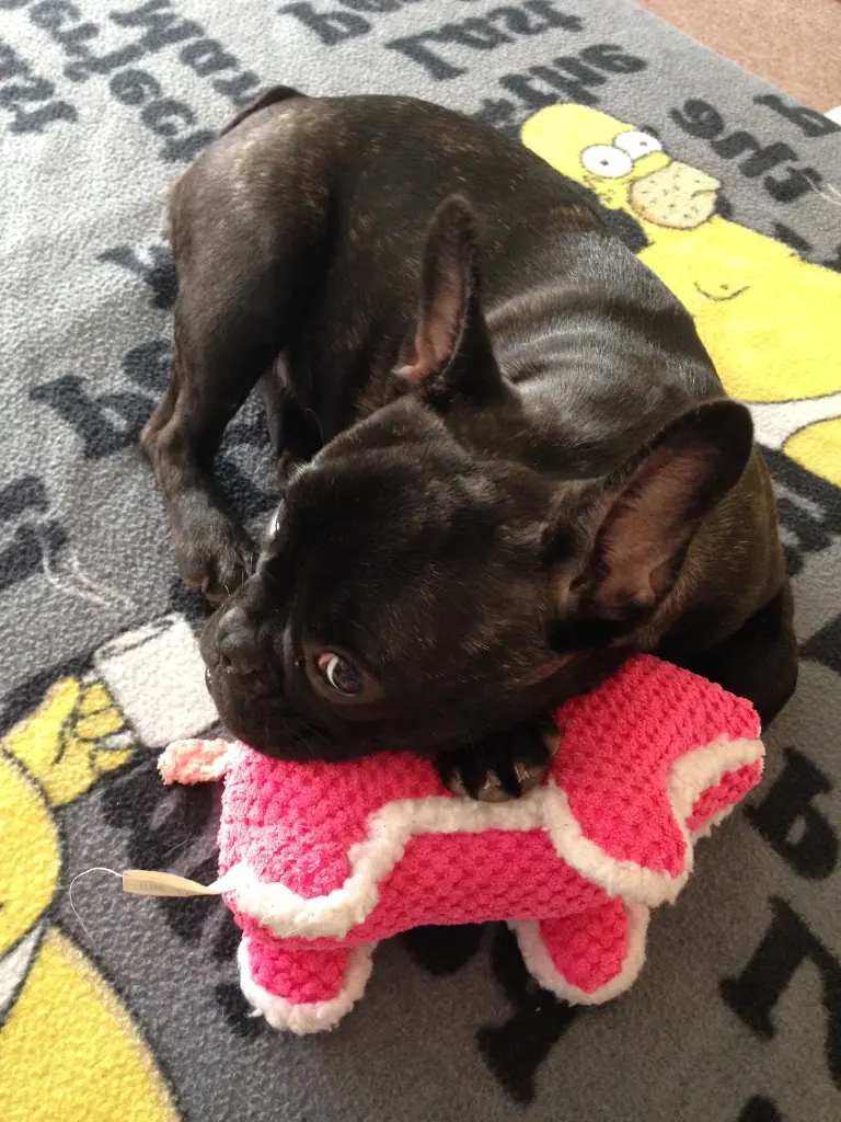 Bild von Uschi