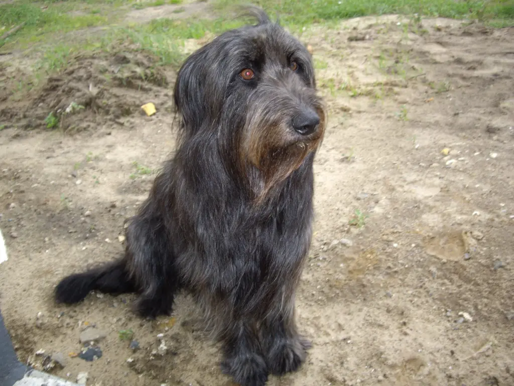 Condolence image of Maike