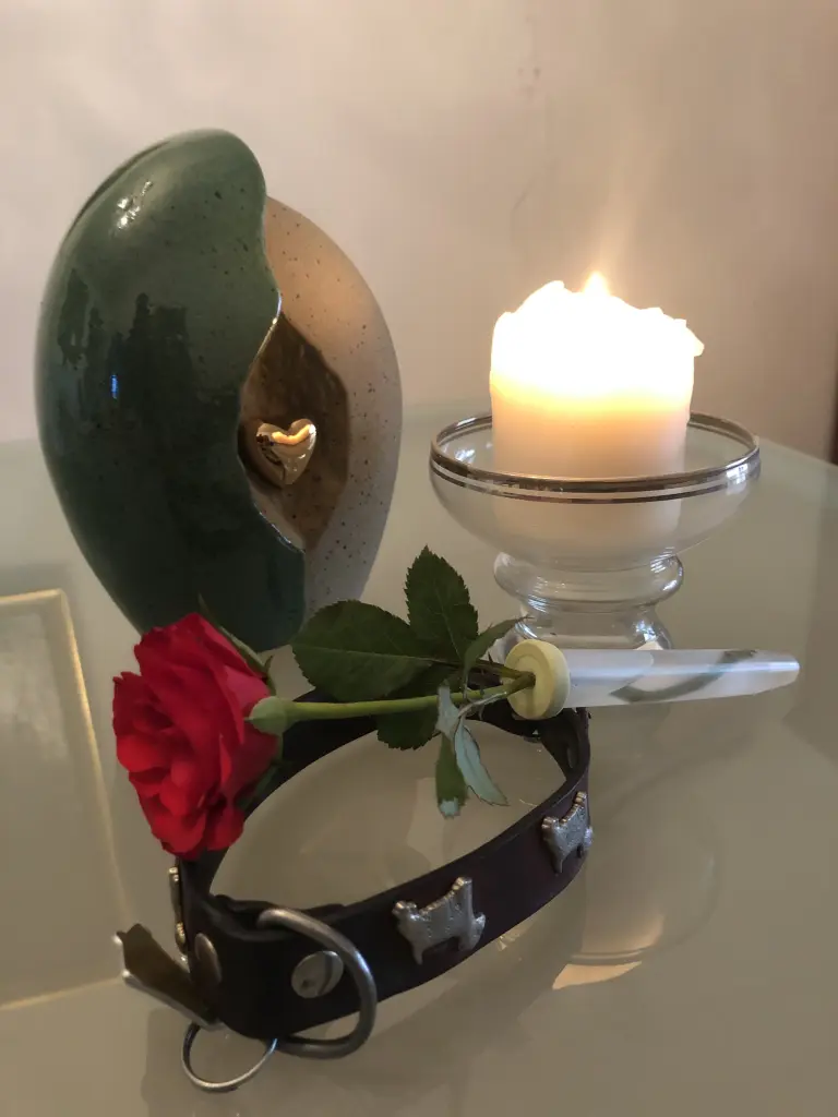 Image from Jamie