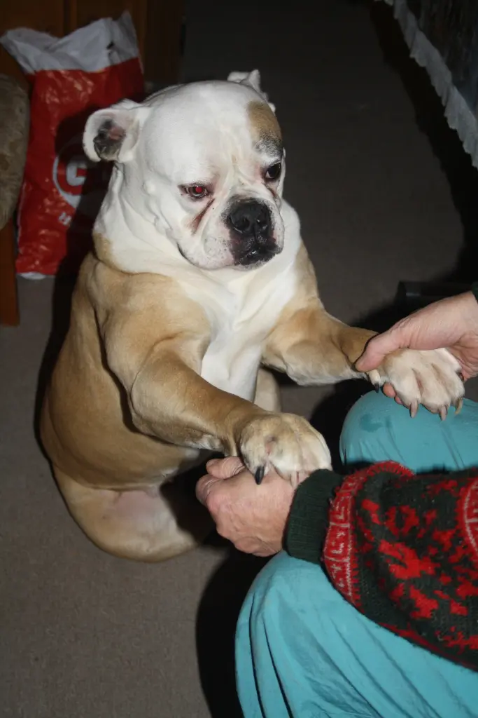 Condolence image of Simone