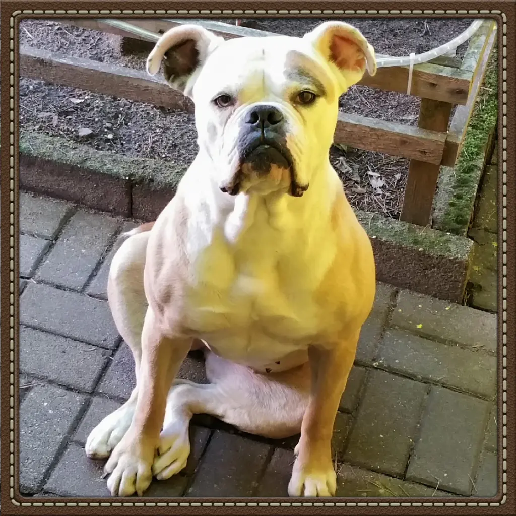 Condolence image of Simone