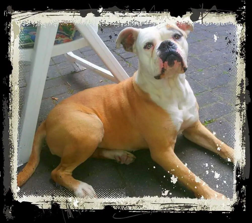 Condolence image of Simone
