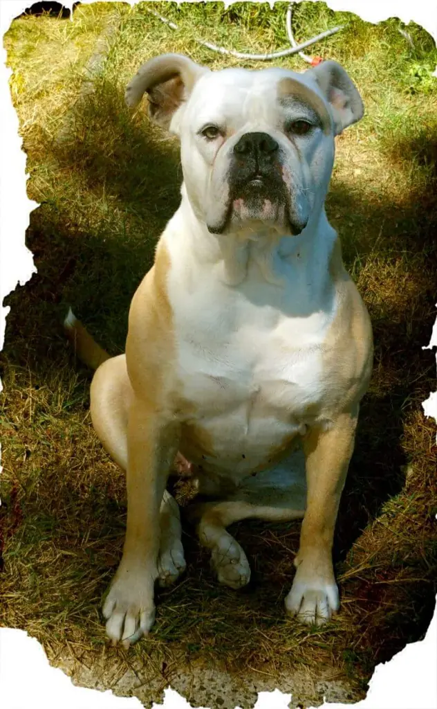 Condolence image of Simone