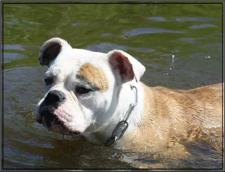 Condolence image of Simone