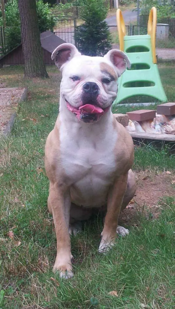 Condolence image of Simone