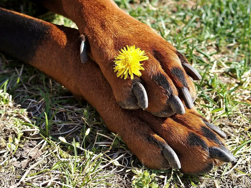 Condolence image of Sabine  Zweers