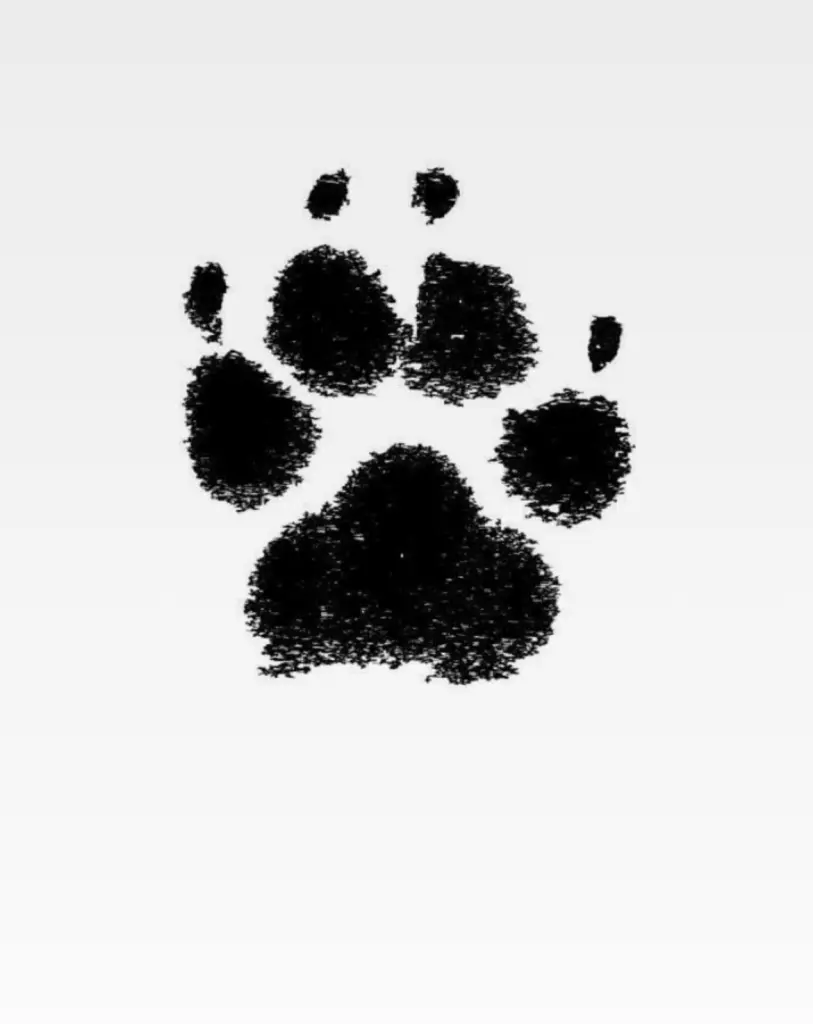 Condolence image of Unbekannt