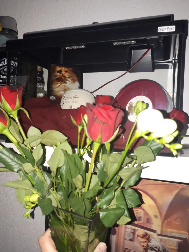Condolence image of Mama