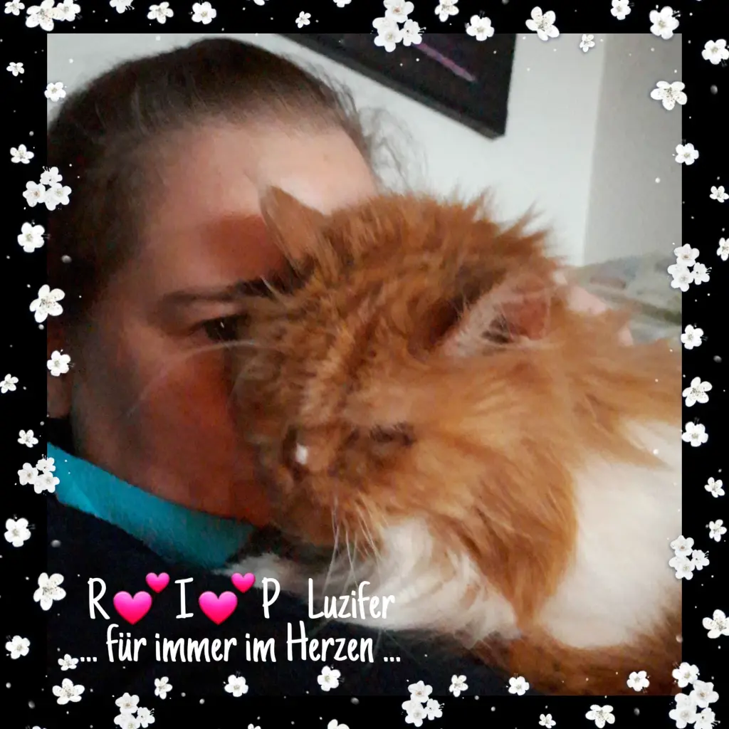 Image from Luzifer
